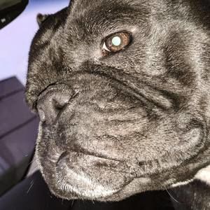 Meet your Posher, Tony